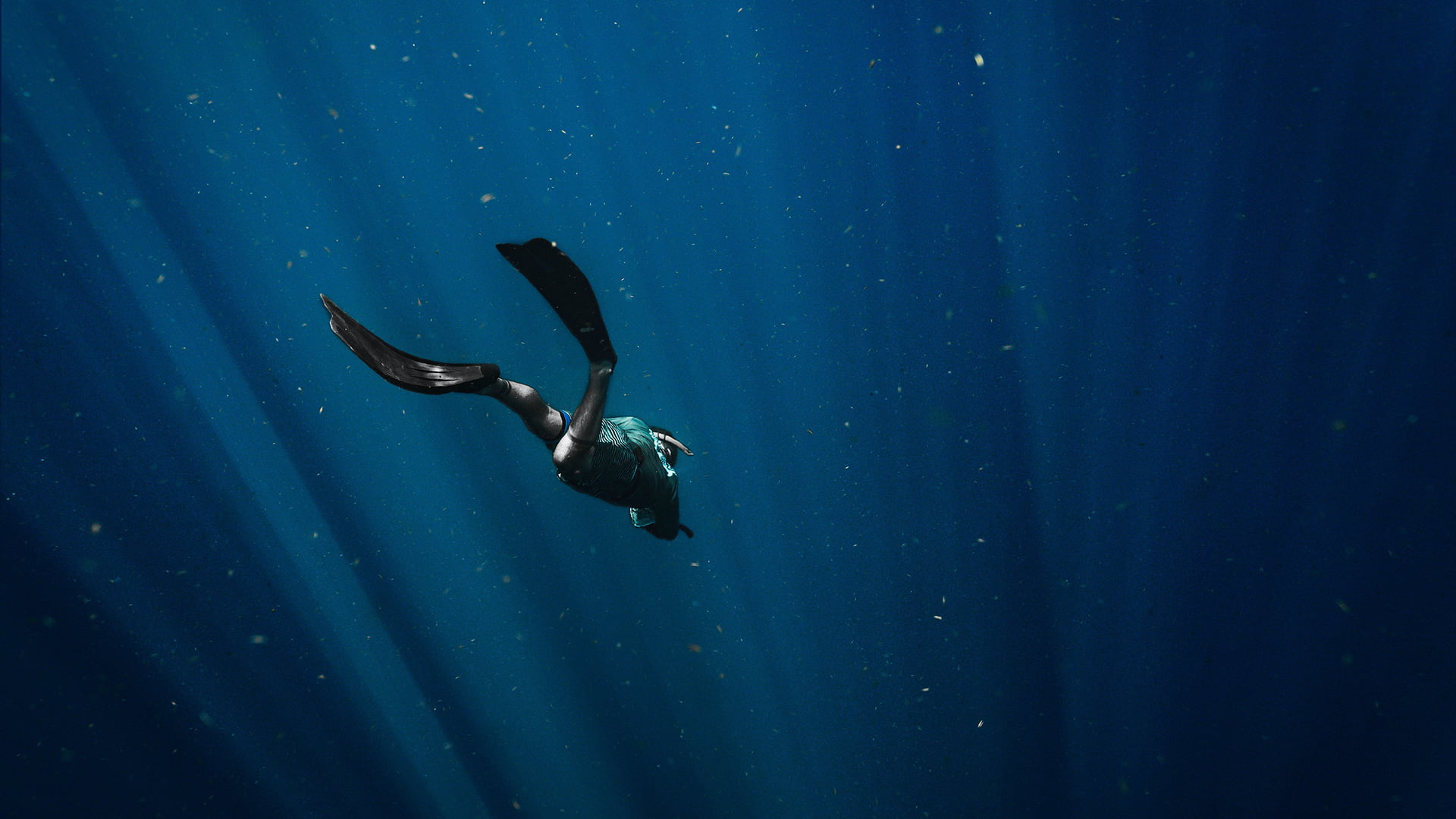 DIVE IN