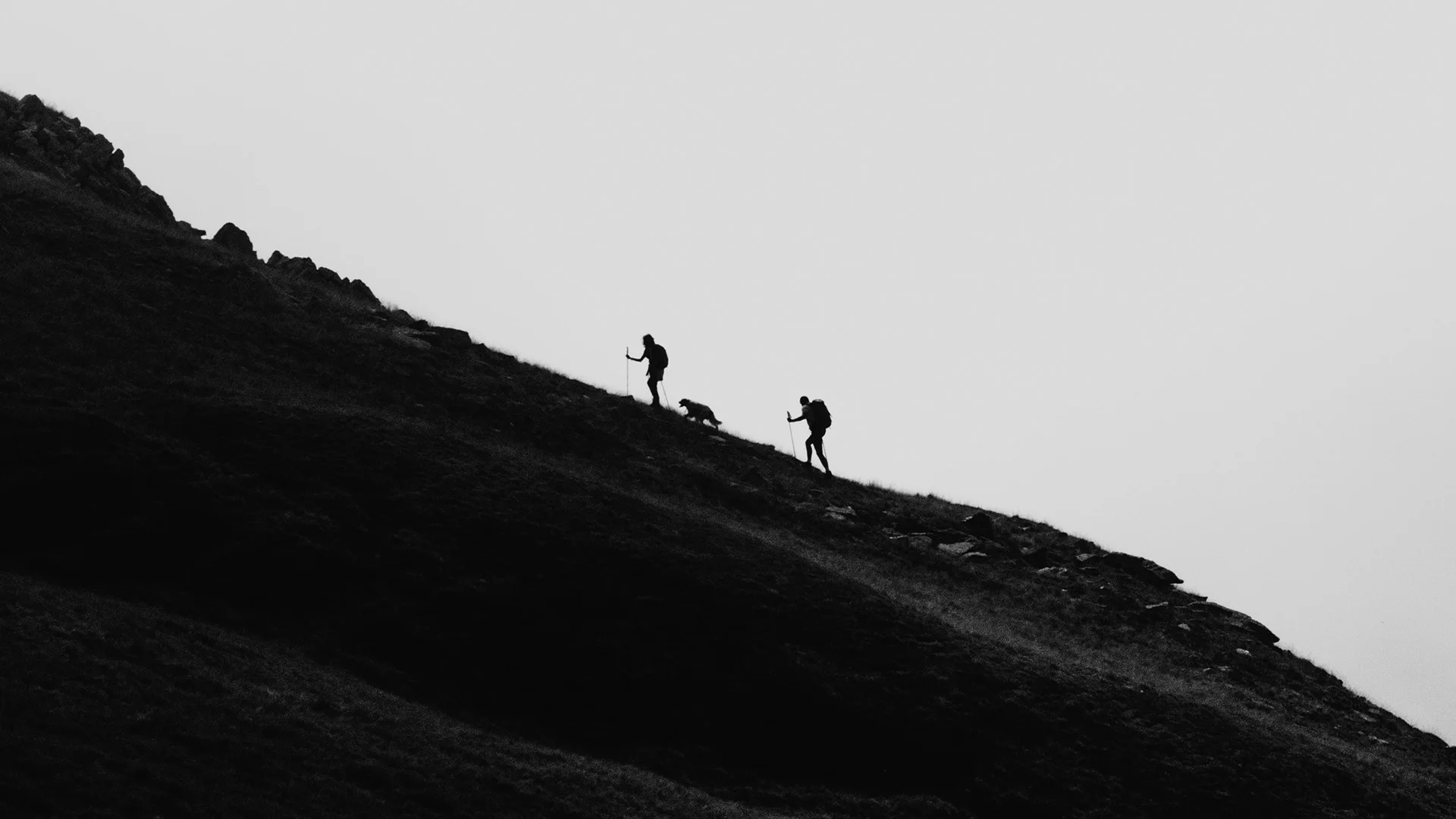 CLIMB HIGH
